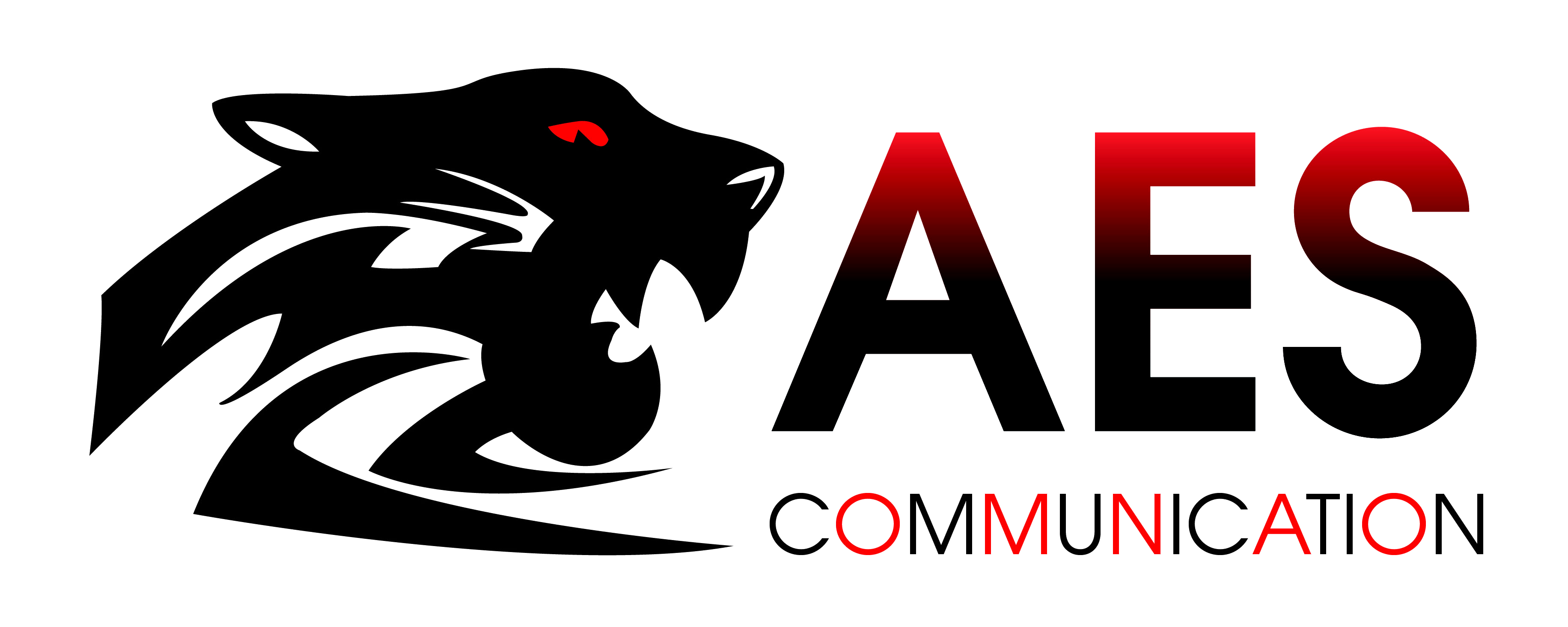 LOGO AES COMMUNICATION